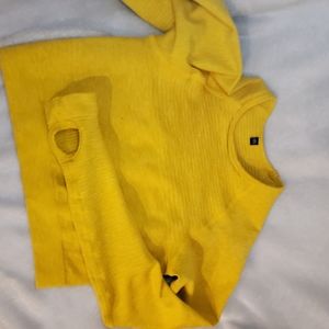 Alphalete long sleeve crop top